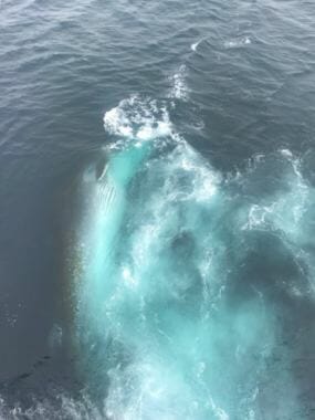 A photo taken on board the Tustumena. and shared with DOT officials. (Photo courtesy Alaska Department of Transportation)