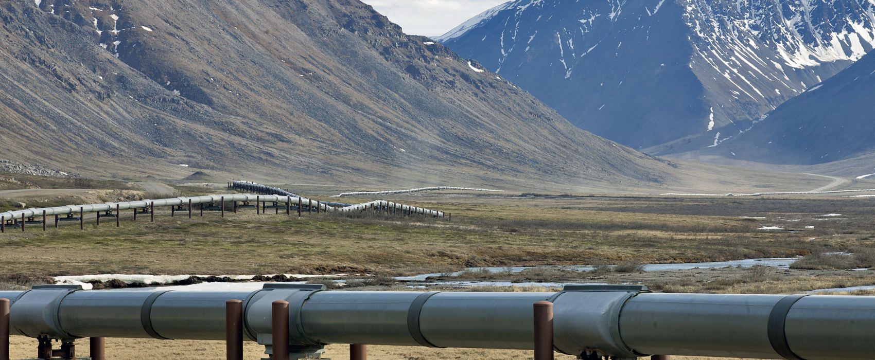 The Trans-Alaska Pipeline runs alongside the Dalton Highway near the Toolik Field Station on June 9, 2017, in the North Slope Borough. (Photo by Rashah McChesney/Alaska's Energy Desk)