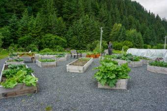 Micheley Kowalski stands in the Seward Community Garden. (Photo by Anne Hillman/Alaska Public Media)