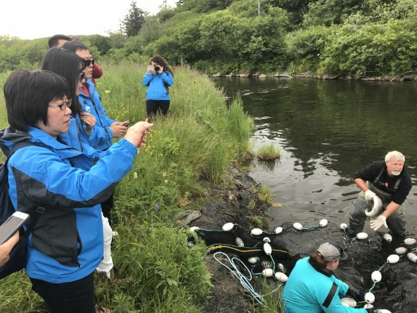 Shanghai Hollywin Frozen Food CEO Xin Lyu snaps photos July 11, 2018, at a weir on the Buskin River near Kodiak . (Photo by Daysha Eaton/KMXT)