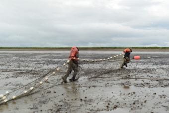 Fishermen put a net in Pilot Point before high tide. (Photo by Mitch Borden/KDLG)