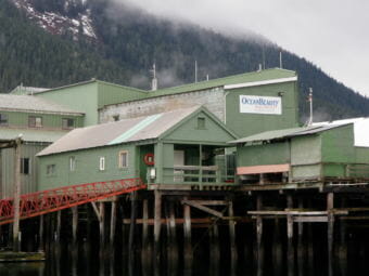 Ocean Beauty’s Petersburg plant did not can salmon in 2017 or 2018. (Photo by Joe Viechnicki/KFSK)