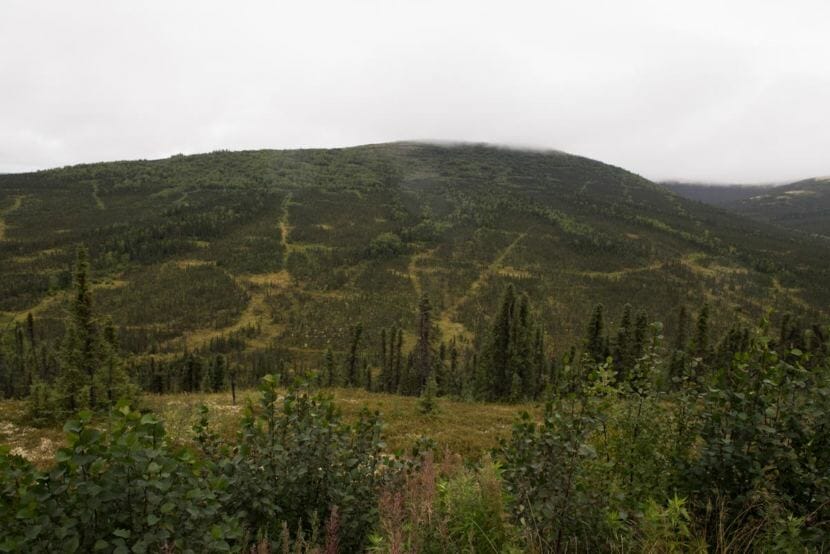 The proposed Donlin mine could be one of the biggest in the world — if completed.