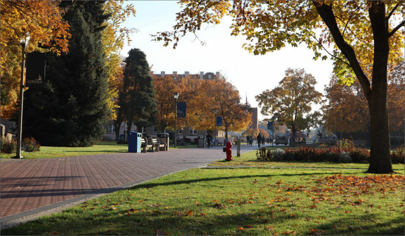 A view of the Gonzaga University campus from Cardinal Bea House.