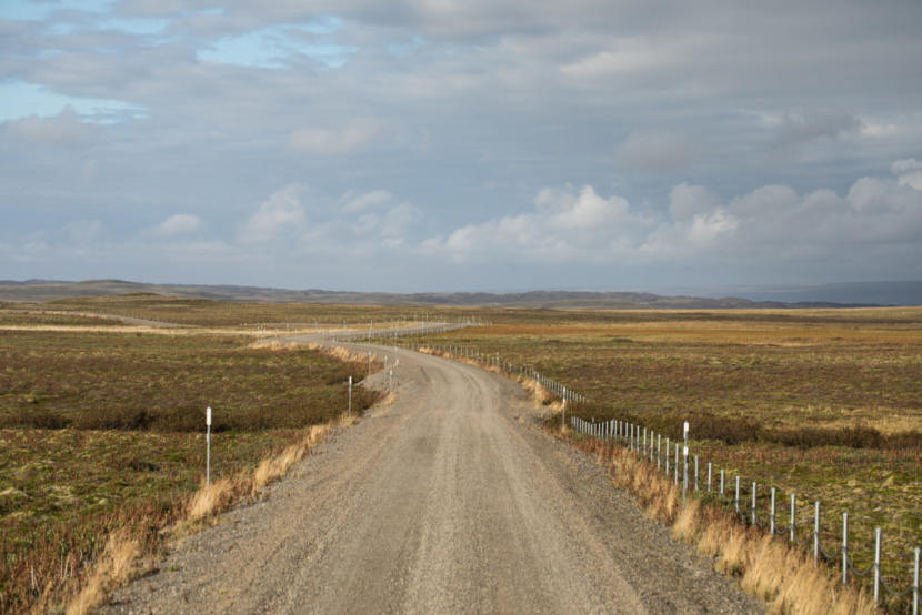 The existing 17-mile part of the road leading out of King Cove, Alaska, ends right at the refuge’s wilderness boundary.