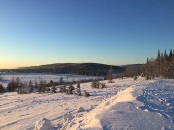 Recent temperatures in Fairbanks have been in the negative 30s and 40s, (Ravenna Koenig/ Alaska's Energy Desk).