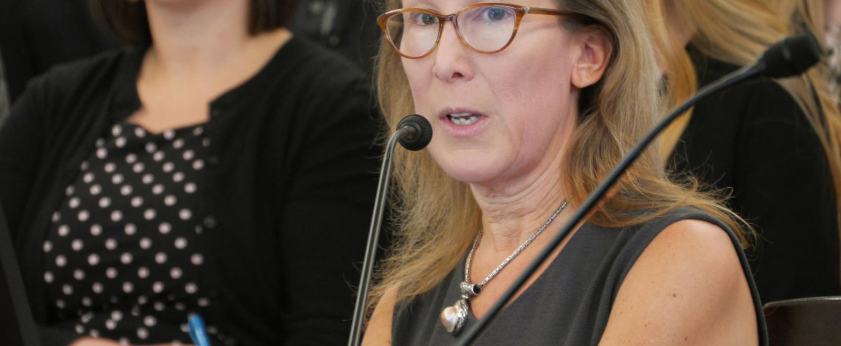 Office of Management and Budget Director Donna Arduin gives a presentation to the Senate Finance Committee in Juneau on Jan. 23, 2019.