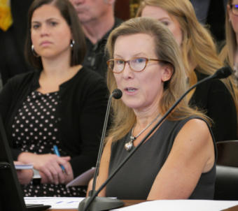 Office of Management and Budget Director Donna Arduin gives a presentation to the Senate Finance Committee in Juneau on Jan. 23, 2019.