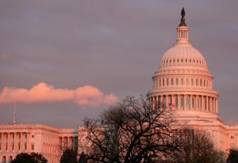 U.S. Capitol in Washington, D.C.