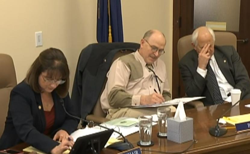 The Senate Labor and Commerce Committee fields calls from constituents regarding Marijuana Control Board nominee Vivian Stiver, Feb. 12, 2019. From left to right: Sens. Lora Reinbold, R-Eagle River, Click Bishop, R-Fairbanks, and Chris Bishop, R-Fairbanks.