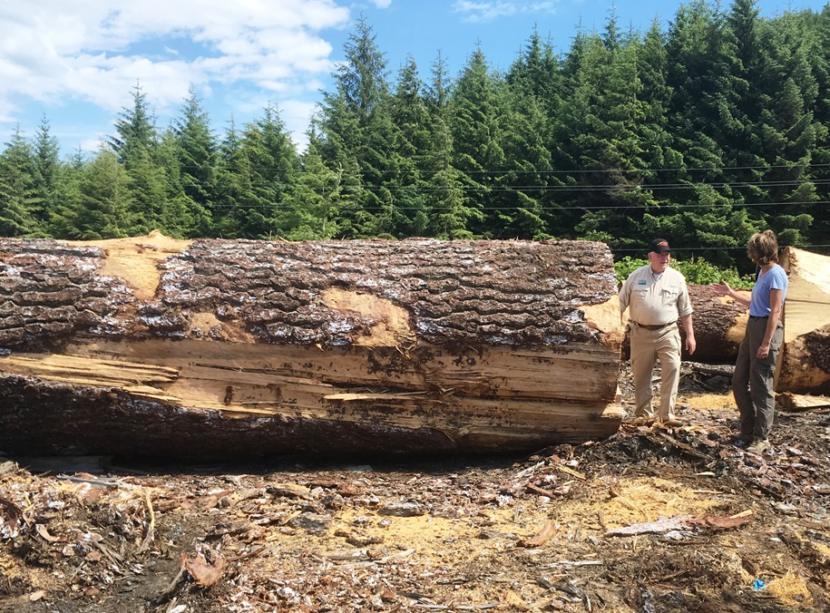 U.S. Secretary of Agriculture Sonny Perdue and Sen. Lisa Murkowski look at some old-growth logs in the yard at Viking Lumber in Klawock. The two toured Prince of Wales Island on July 5, 2018. (Photo by Leila Kheiry/KRBD)