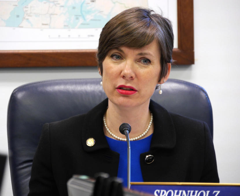 Rep. Ivy Spohnholz, D-Anchorage, speaks during a House Resources Committee meeting in Juneau on March 4, 2019.