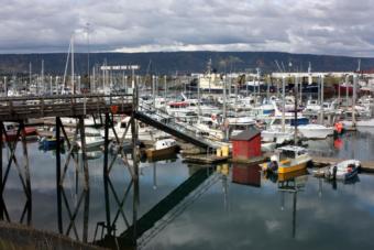 Homer Harbor