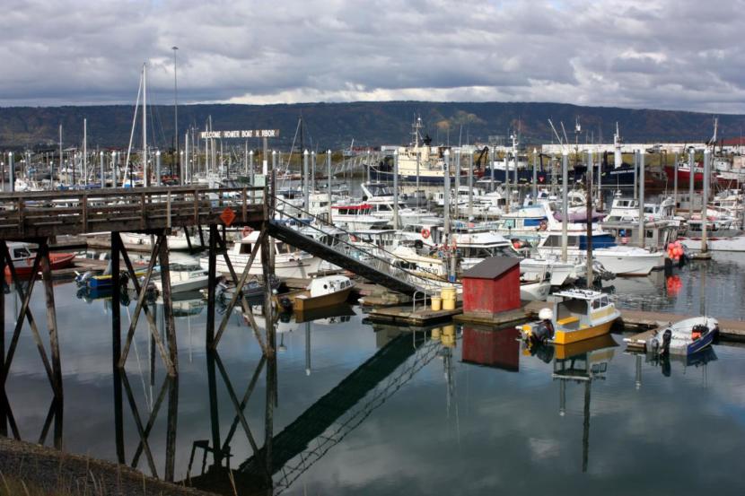Homer Harbor