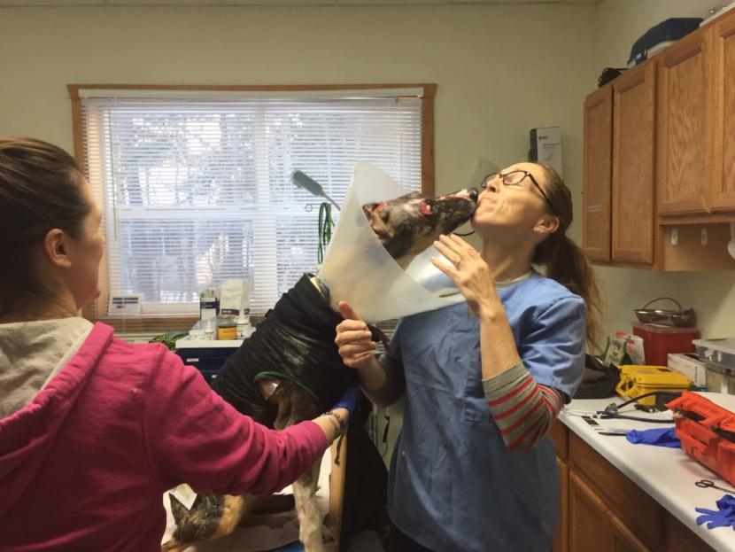 Archer gives Dr. Michelle Oakley a kiss before his bandage change.