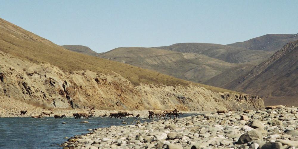 A view of the Kongakut River, which flows through the Arctic National Wildlife Refuge.