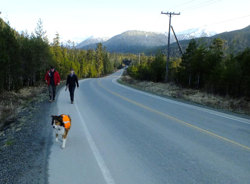 SEADOGS’ Mark Sanders and Rebecca Albert return from an evening training session along with her dog Tilli, a 3 year old Collie. (Photo by Matt Miller/KTOO)