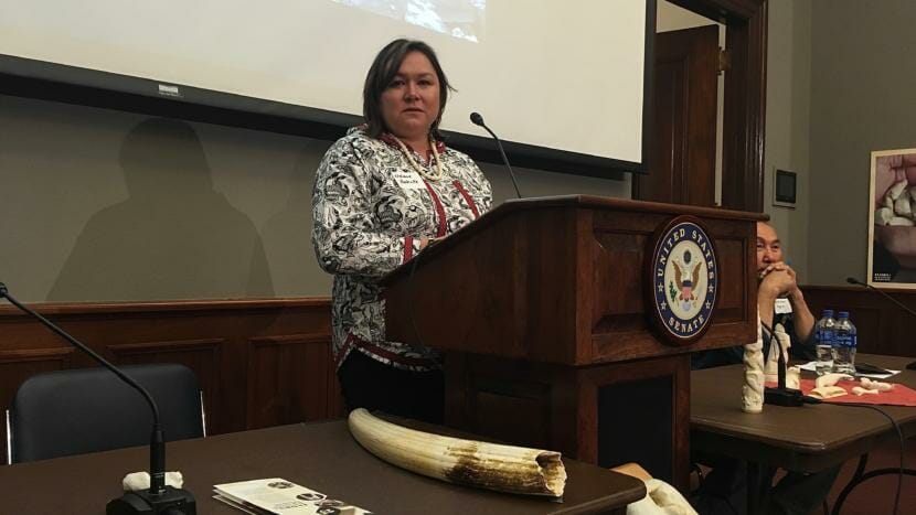 Melanie Bahnke is the president and CEO of Kawerak Inc. She wants to foster greater acceptance of ivory carvings from her region.