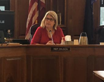 Rep. Tammie Wilson (R-North Pole) speaks during a House Finance Committee meeting in June. She left the House majority caucus on Thursday. (Photo by Andrew Kitchenman/KTOO and Alaska Public Media)