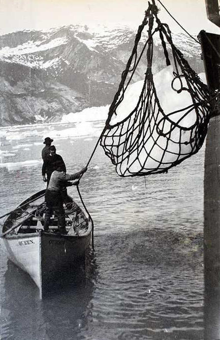 Steamer Queen taking on ice in Taku Inlet sometime between 1896 and 1913. (P95-041 Alaska State Library - WLR Photo Collection)