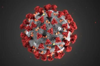 coronavirus SARS-CoV-2
