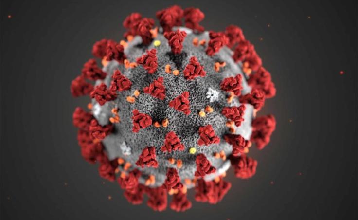 coronavirus SARS-CoV-2
