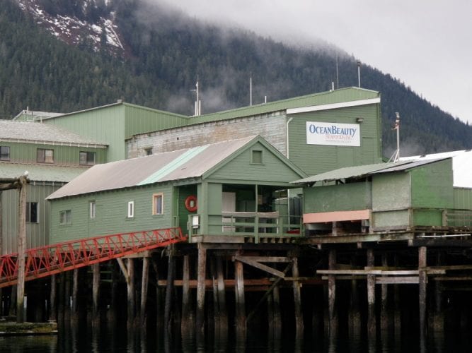 The Petersburg Fisheries seafood plant, owned by Icicle Seafoods is and where the company got its start in 1965. (Photo courtesy KFSK)