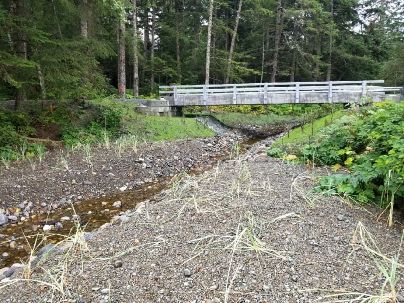 A new bridge, pictured here in 2018, spans a creek that salmon run up in the U.S. Forest Service's Lena Beach Recreation Area in Juneau.