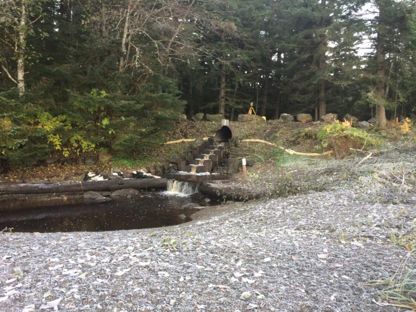 A fish ladder and culvert run under a dirt road in the U.S. Forest Service's Lena Beach Recreation Area in Juneau.