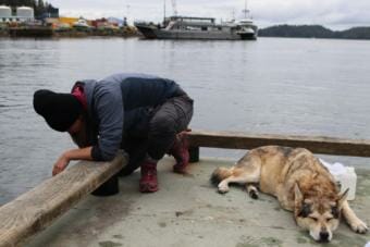 EnviroNaomi Bargmann conducts tests at the Starrigavan Dock in Sitka while her dog Chickie sleeps beside her.