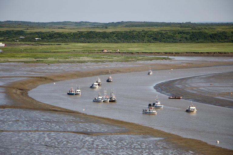 Several fishing boats in Bristol Bay