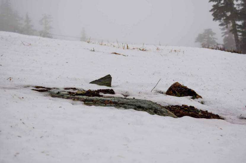 Eaglecrest Ski Area after storm