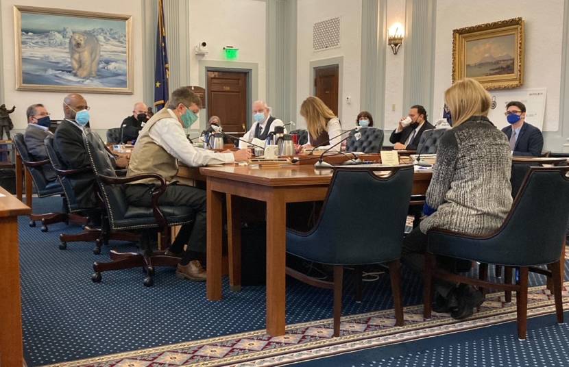 Members of the Alaska Senate Finance Committee attend a meeting on Feb. 4, 2021, in the Alaska State Capitol in Juneau. (Photo by Andrew Kitchenman/KTOO and Alaska Public Media)