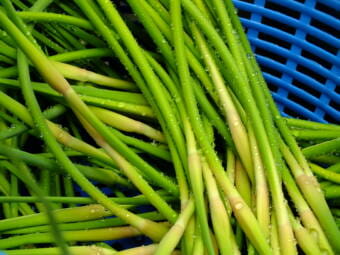 Washed garlic scapes