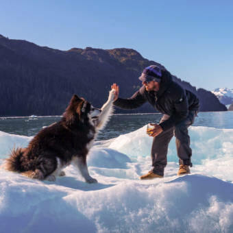 A dog and a man high-fiving each other on top of a mound of ice
