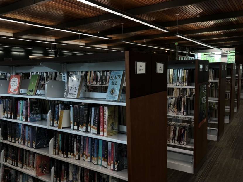 rows of books inside a library