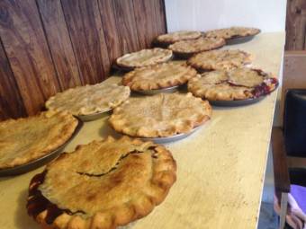 many pies sitting on a counter