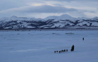A dog team running with a mountain range in the background