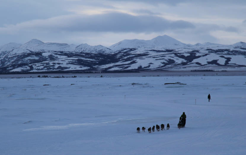 A dog team running with a mountain range in the background