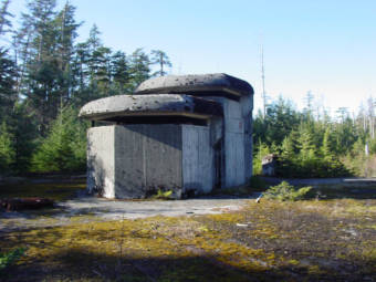 A small, concrete building with horizontal slits instead of windows, surrounded by trees