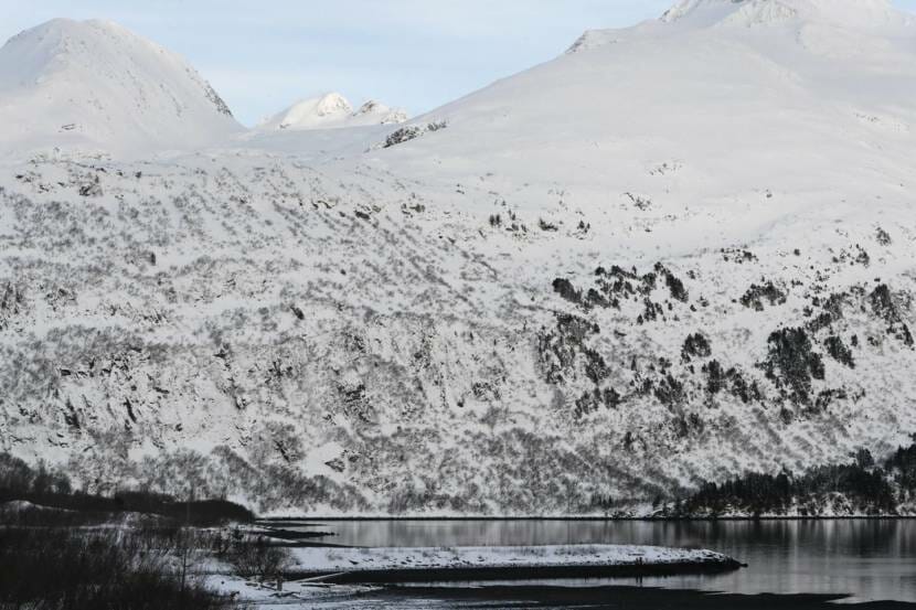 A tighter photo of the same bay pictured in the photo at the top of the story