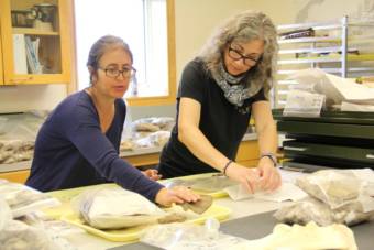 Two women looking at plastic bags laid out on a table