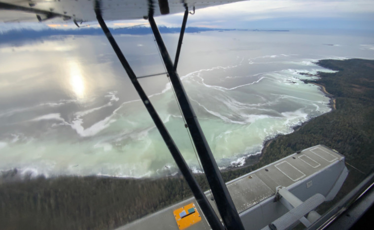 An aerial photo of coastal waters