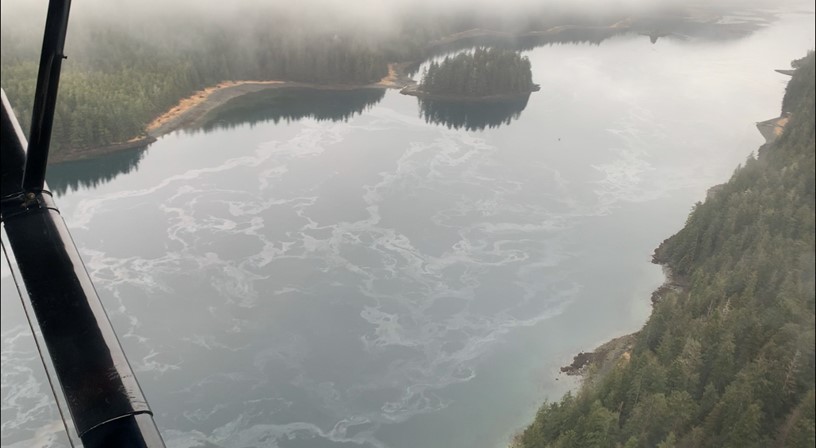 An oily sheen on a narrow passage of water seen from an airplane