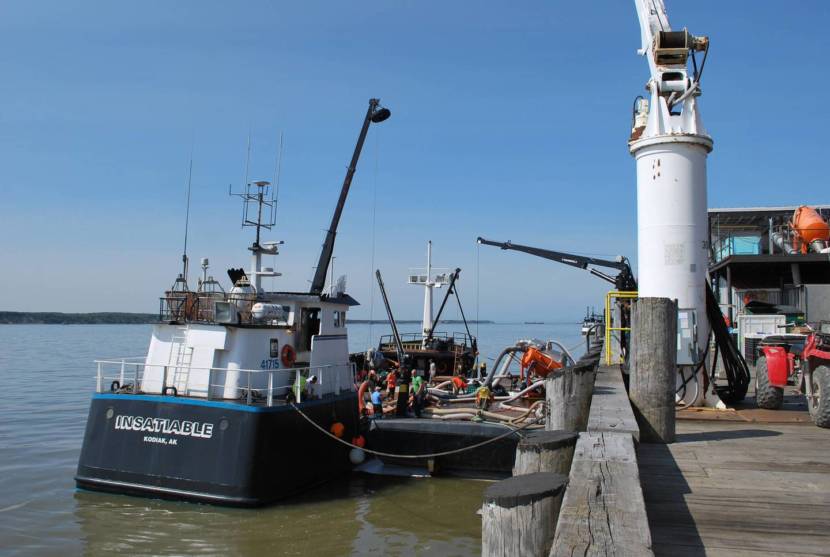 A fishing vessel called the Insatiable unloading fish at a dock