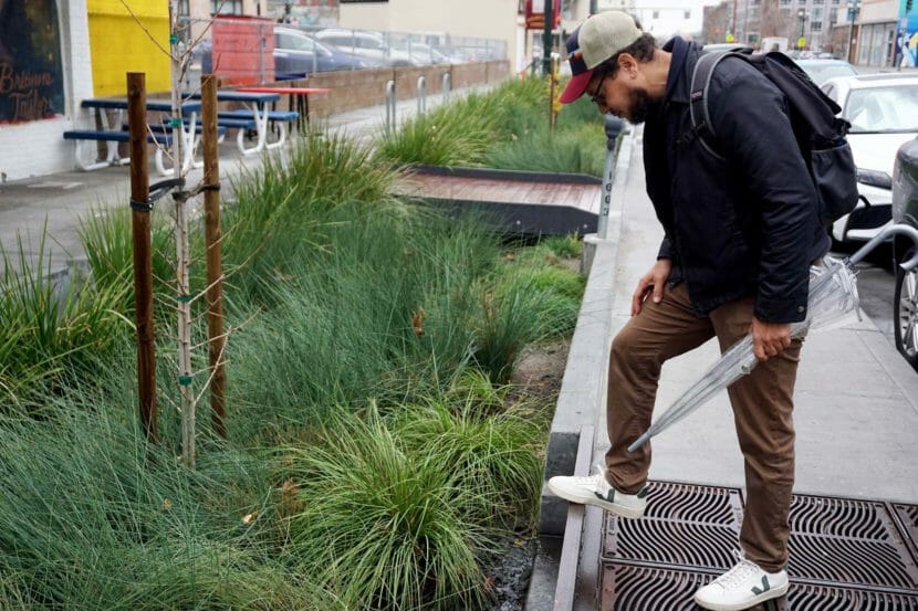 A man stands on a sidewalk looking down on clumps of tall grass