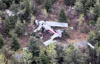 A badly damaged plane, with its wings separated from its fuselage, on the ground among trees