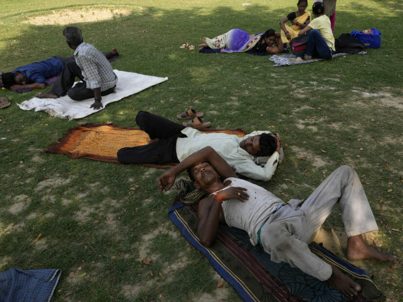 People lie on the ground in the shade of a large tree