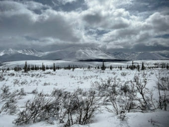 A snowy landscape with mountains in the background