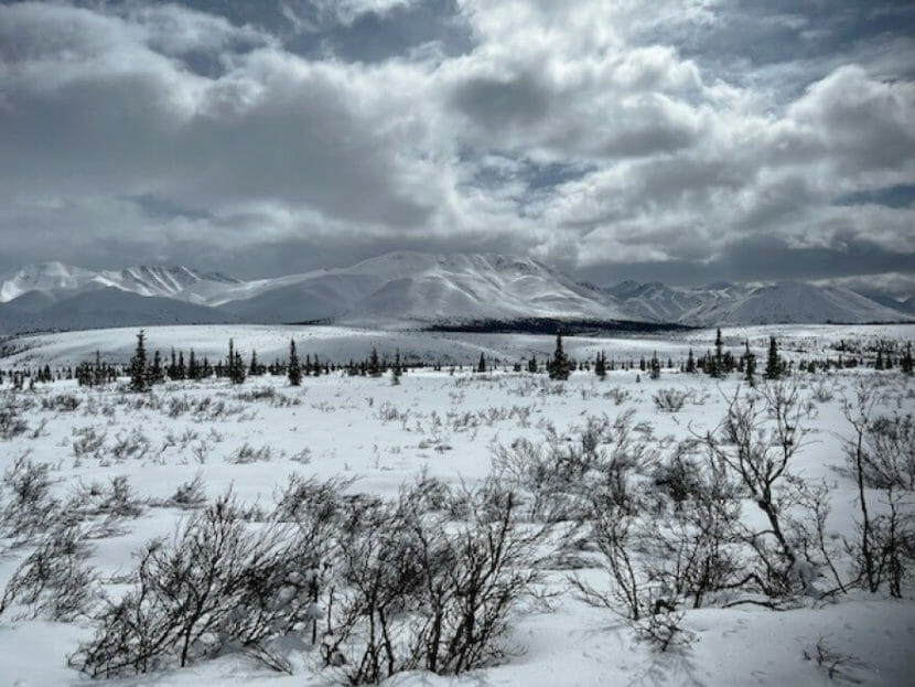 A snowy landscape with mountains in the background